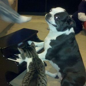 Meet your Posher, Alex